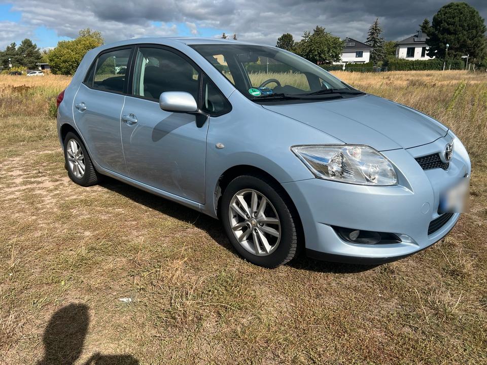 Auris